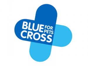 Blue Cross Blue Cross